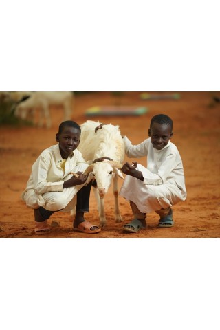 ADAK Kurbanı ►Nedir?