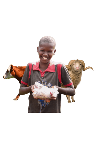 2024 Kurban Fiyatları / Afrika Kurban Organizasyonu