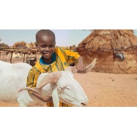 ŞÜKÜR Kurbanı ►Nedir?