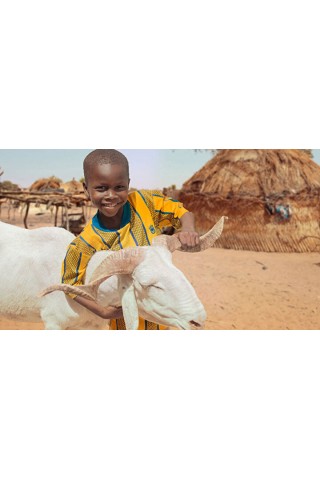 ŞÜKÜR Kurbanı ►Nedir?