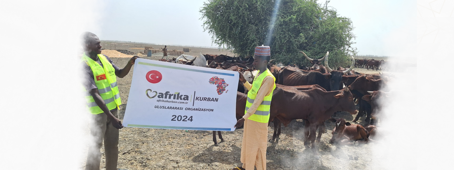 2024 Kurban  Fiyatları